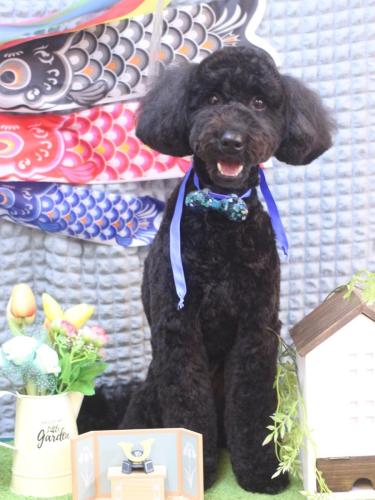 20230516アロちゃん